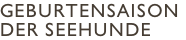 Geburtensaison  Der Seehunde